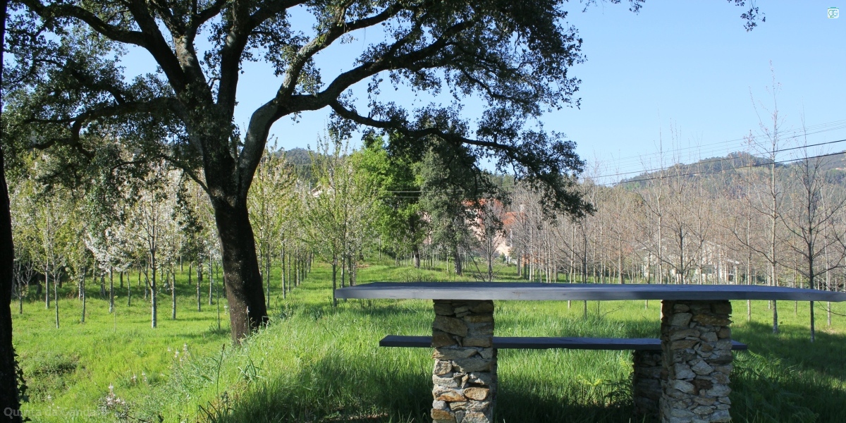 Mesa de picnic