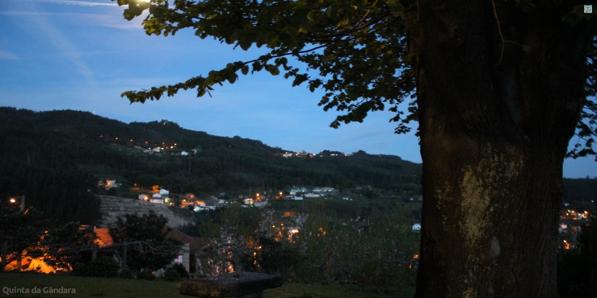 Tileira à noite