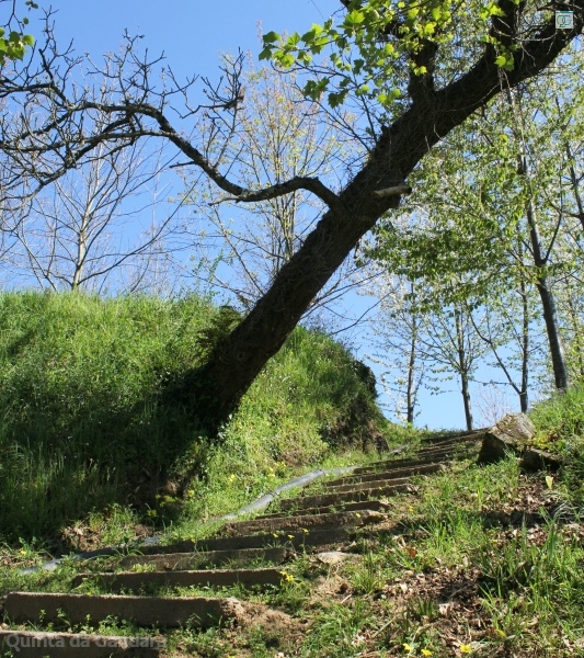 Escadas do campo