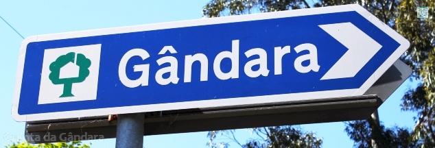 Gândara